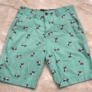 Plugg | French Bulldog Flex Shorts‎ | Teal | Men's Size 29